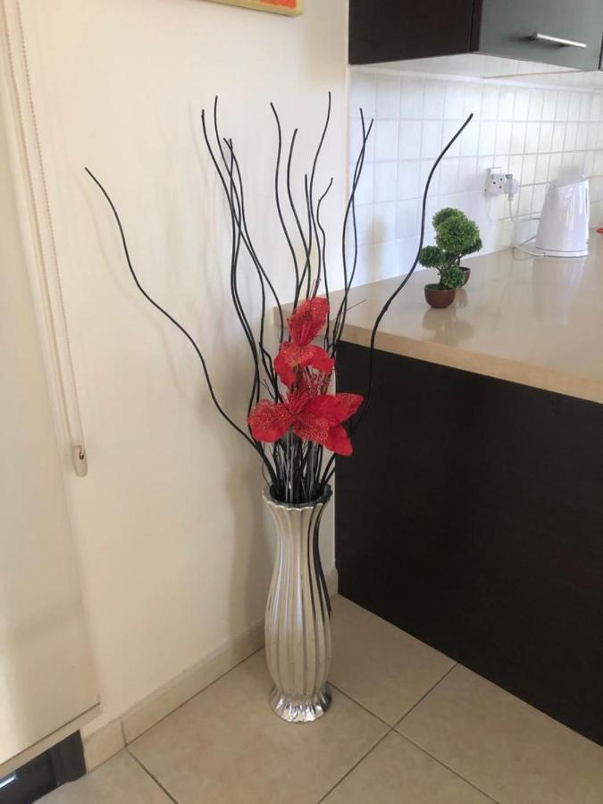 Villa Kot Πύλα Εξωτερικό φωτογραφία